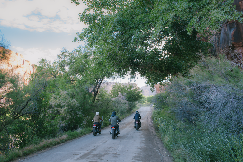 bike brothers triumph